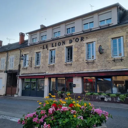 Homestay Nerondes Le Lion D'or Negrondes